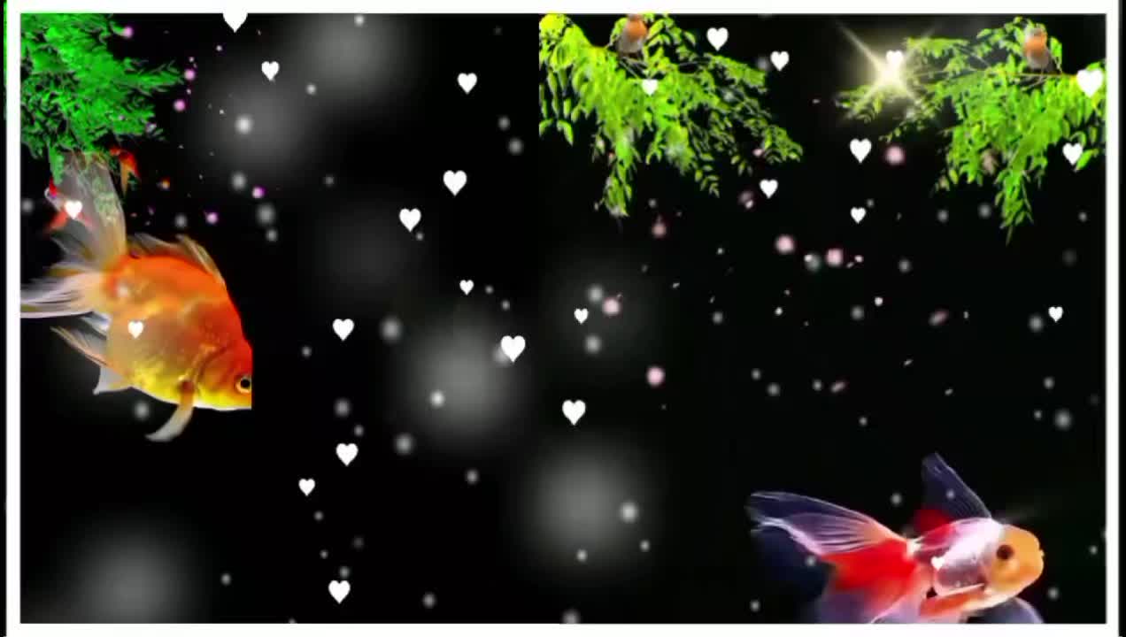 @পিচ্চি পুড়ী