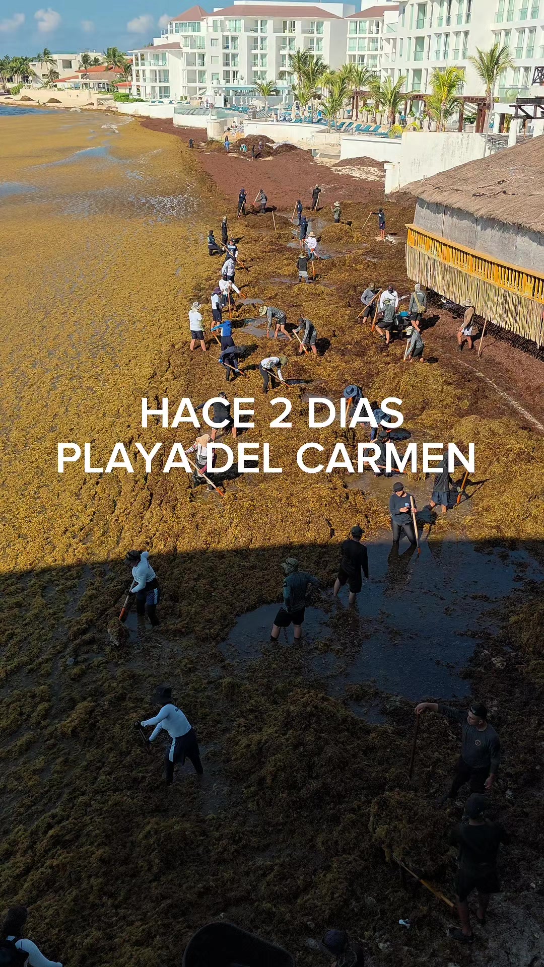 @Playa del Carmen México