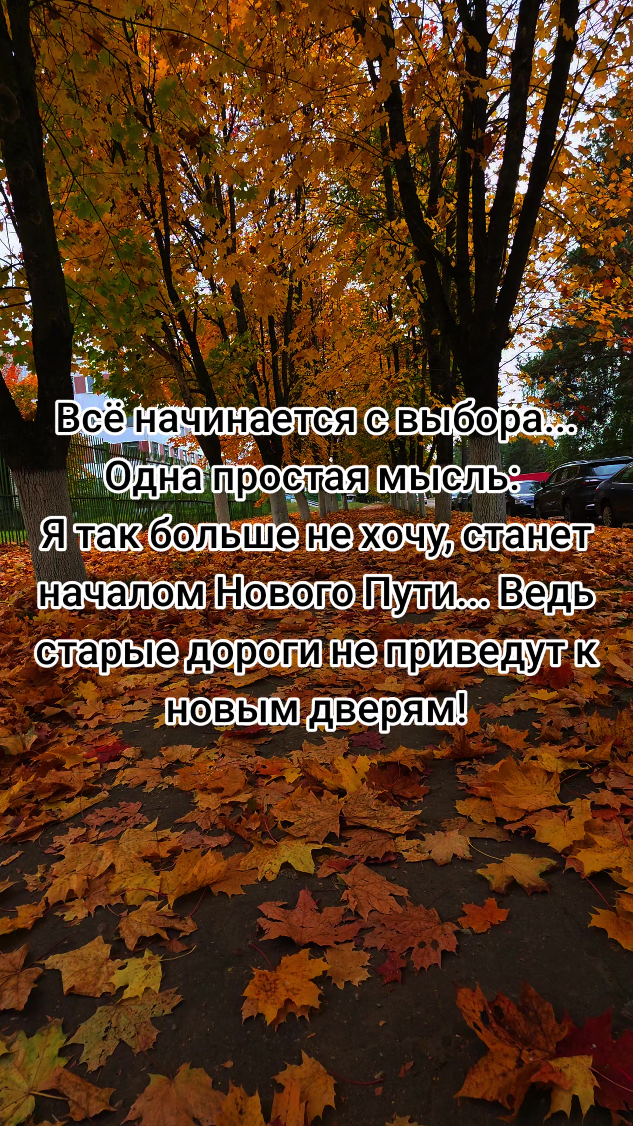 @Lesya Bronzova