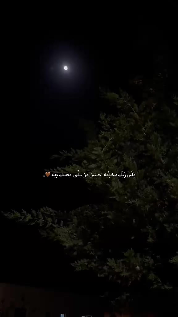 @fatima_h_harb