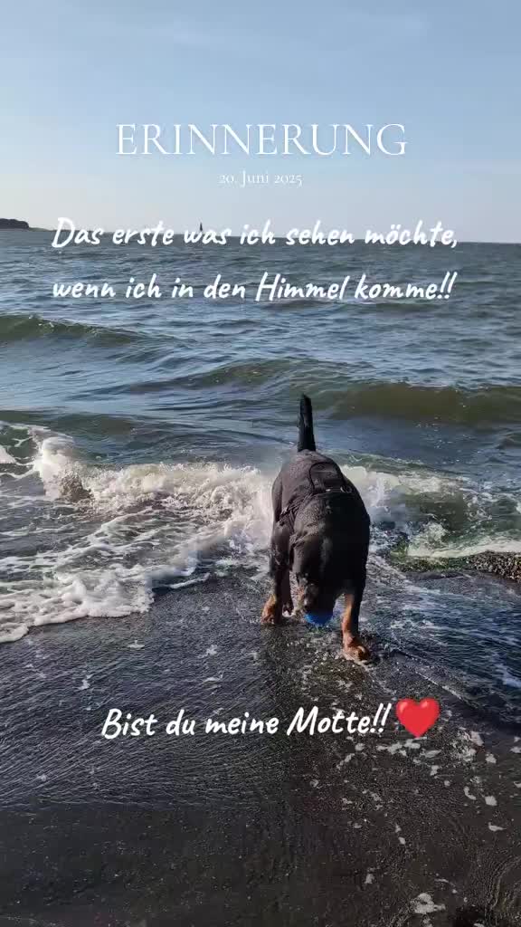 @Nicole❤️Schr&ouml;der🖤Kowalski ❤️