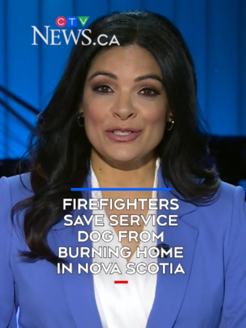 @CTVNews