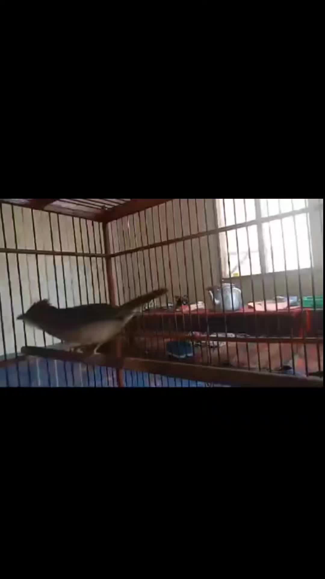 @Anyŭn_Little🕊
