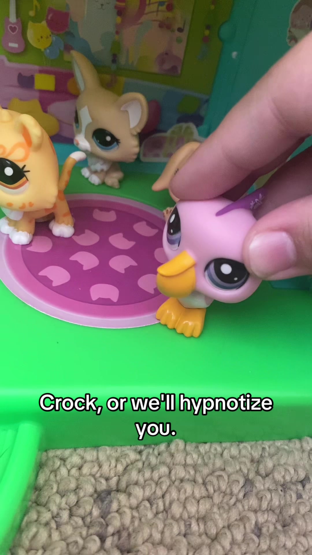 @zizzy