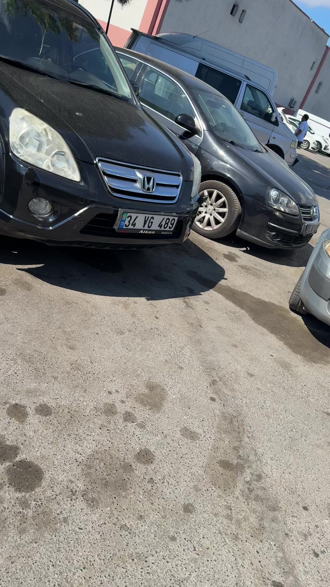 @&Ccedil;ağlayan Alg&uuml;l