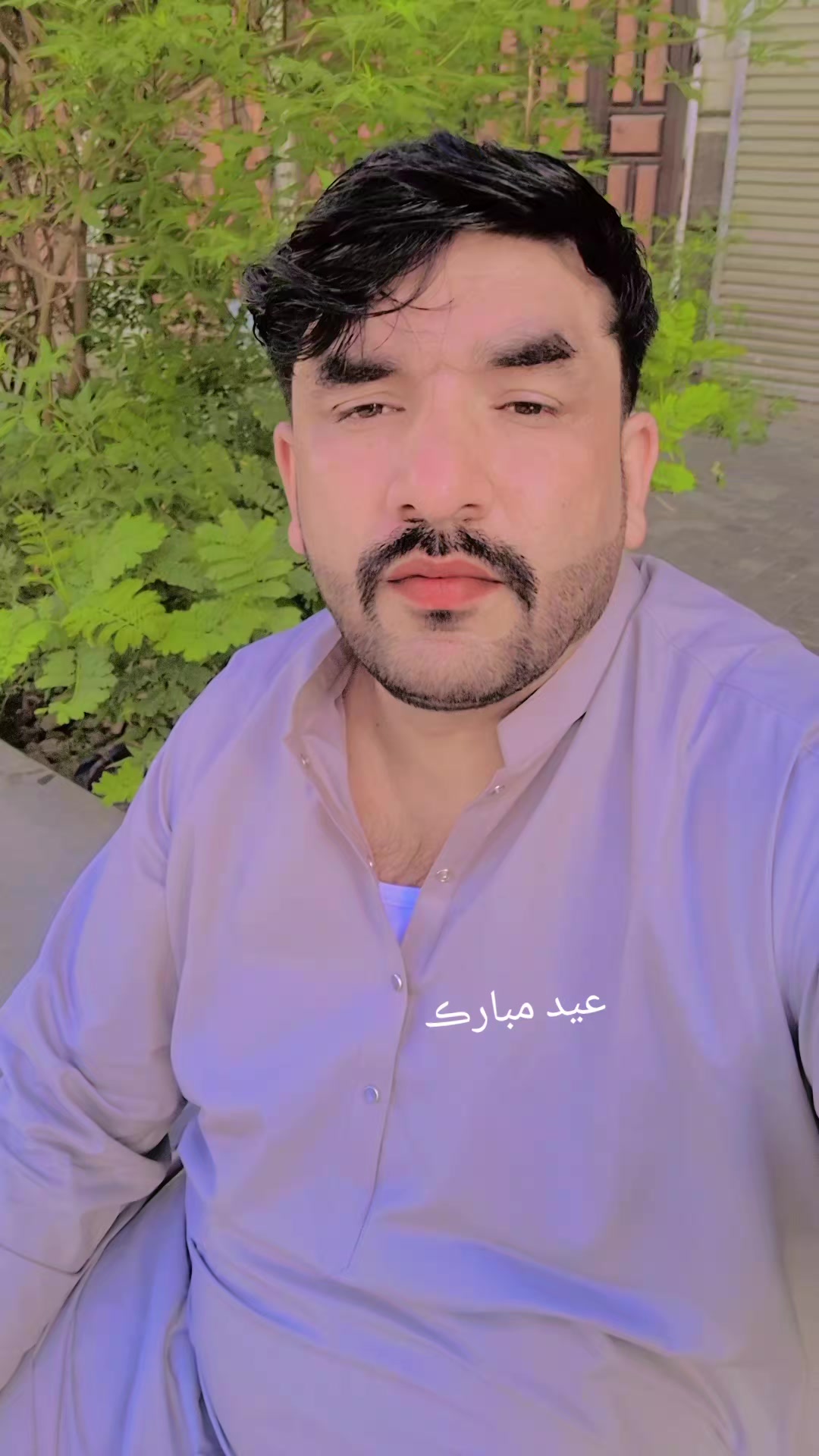 @King___Gull