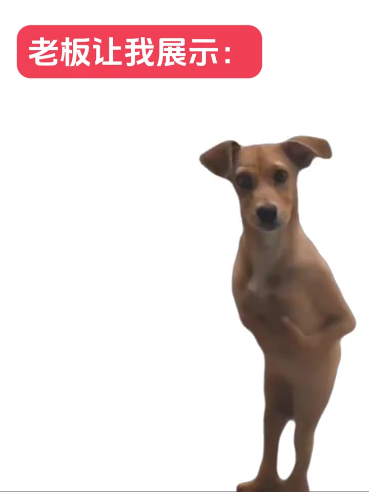 @๐๐ข๐๐ฃ๐ข๐ ๐นญโ.ห