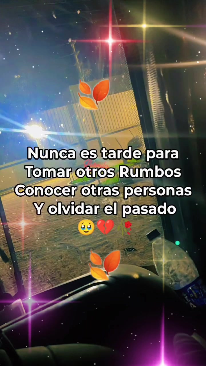 @Marilu León 🦁🌻✨️