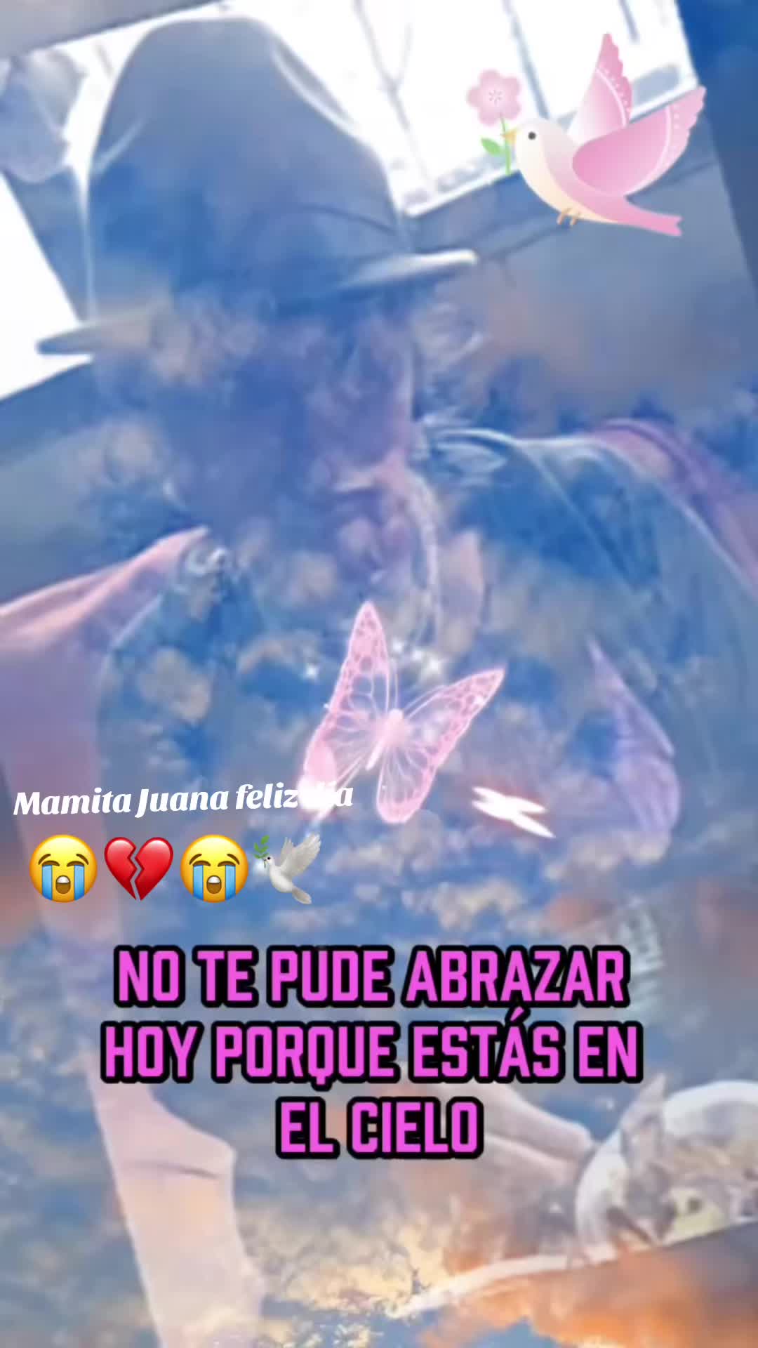 @SILVICAR😇