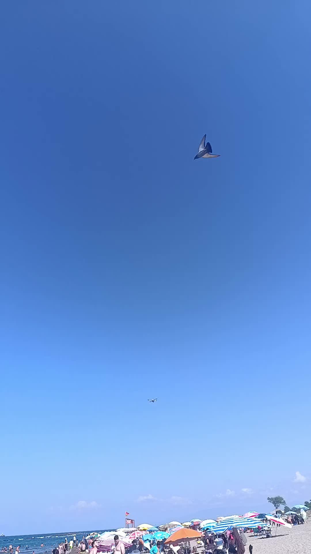 @احلا جود