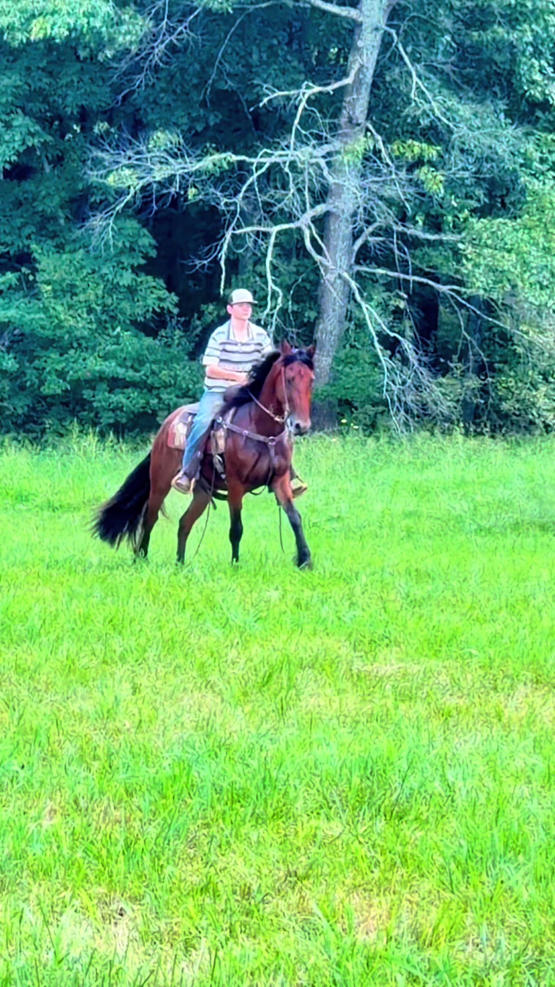 @Lucky D Ranch 🍀