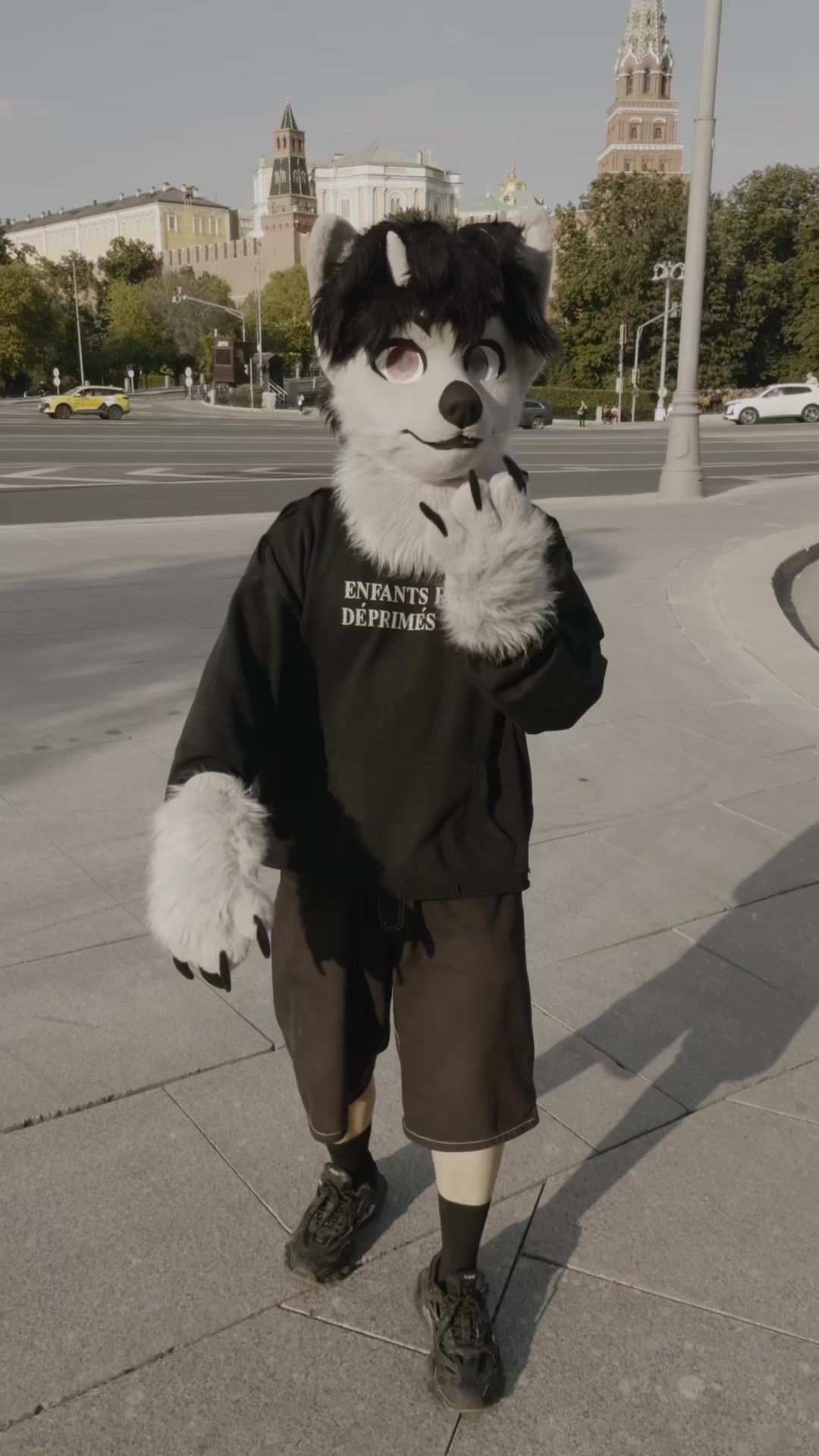 @фыркалко 🐾