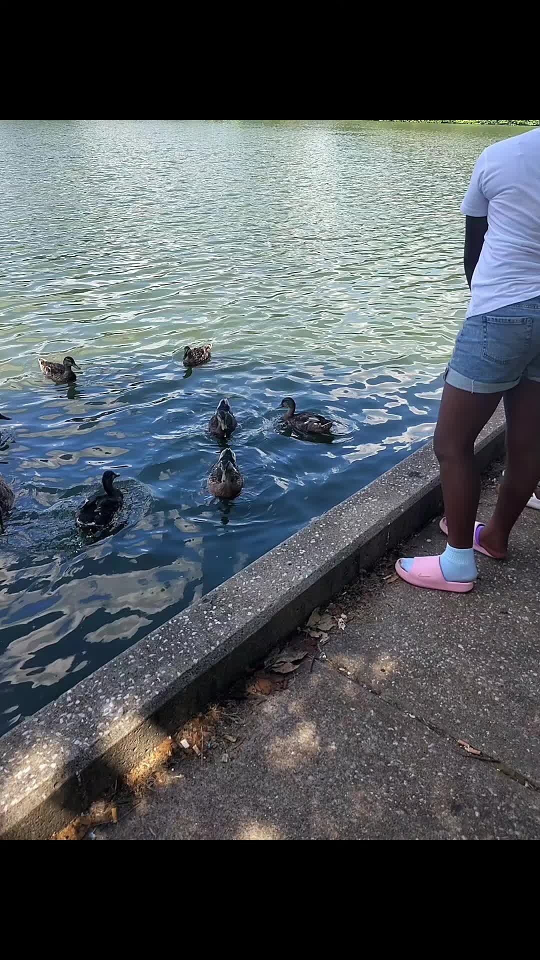 @lindamap424