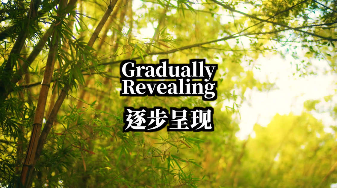 @Mr.Lu 卢
