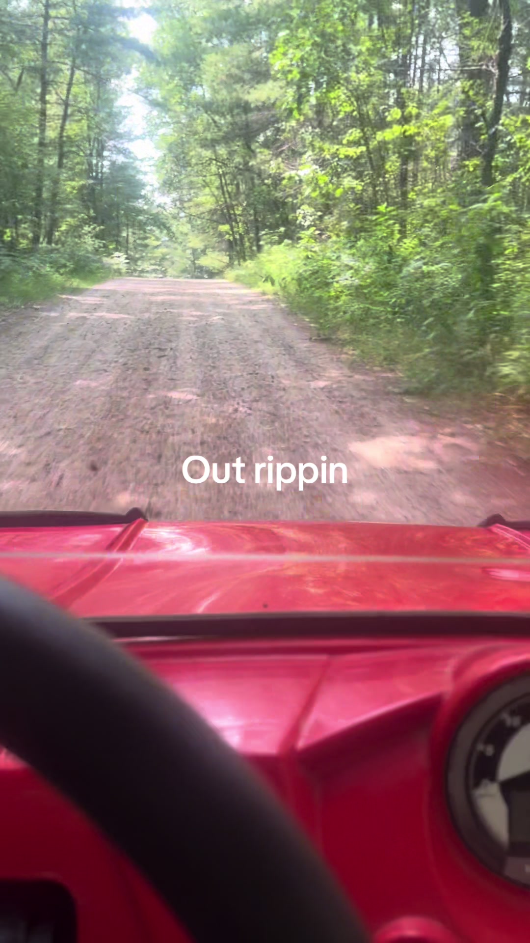 @dirtbike 300
