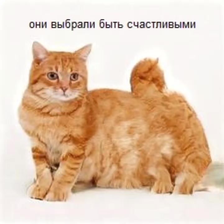 @Пепел