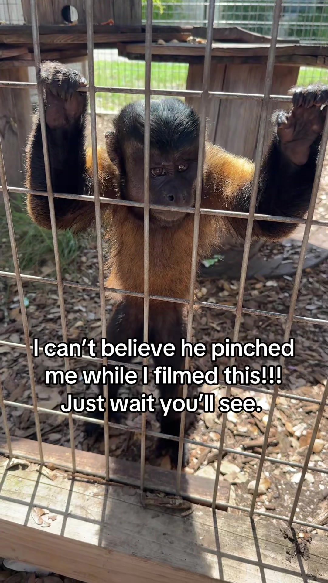 @Texas Wildlife Park