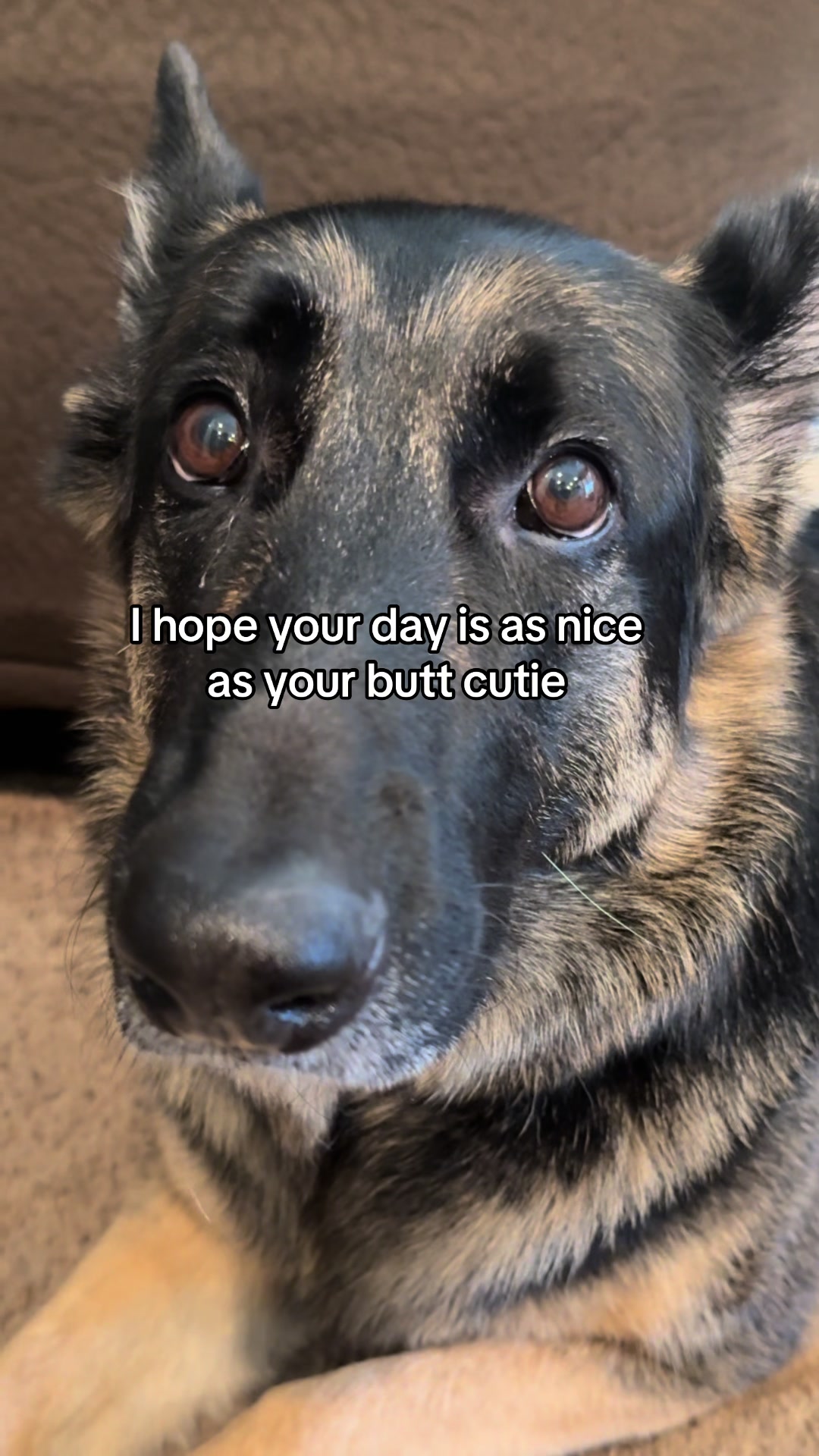 @Bhris
