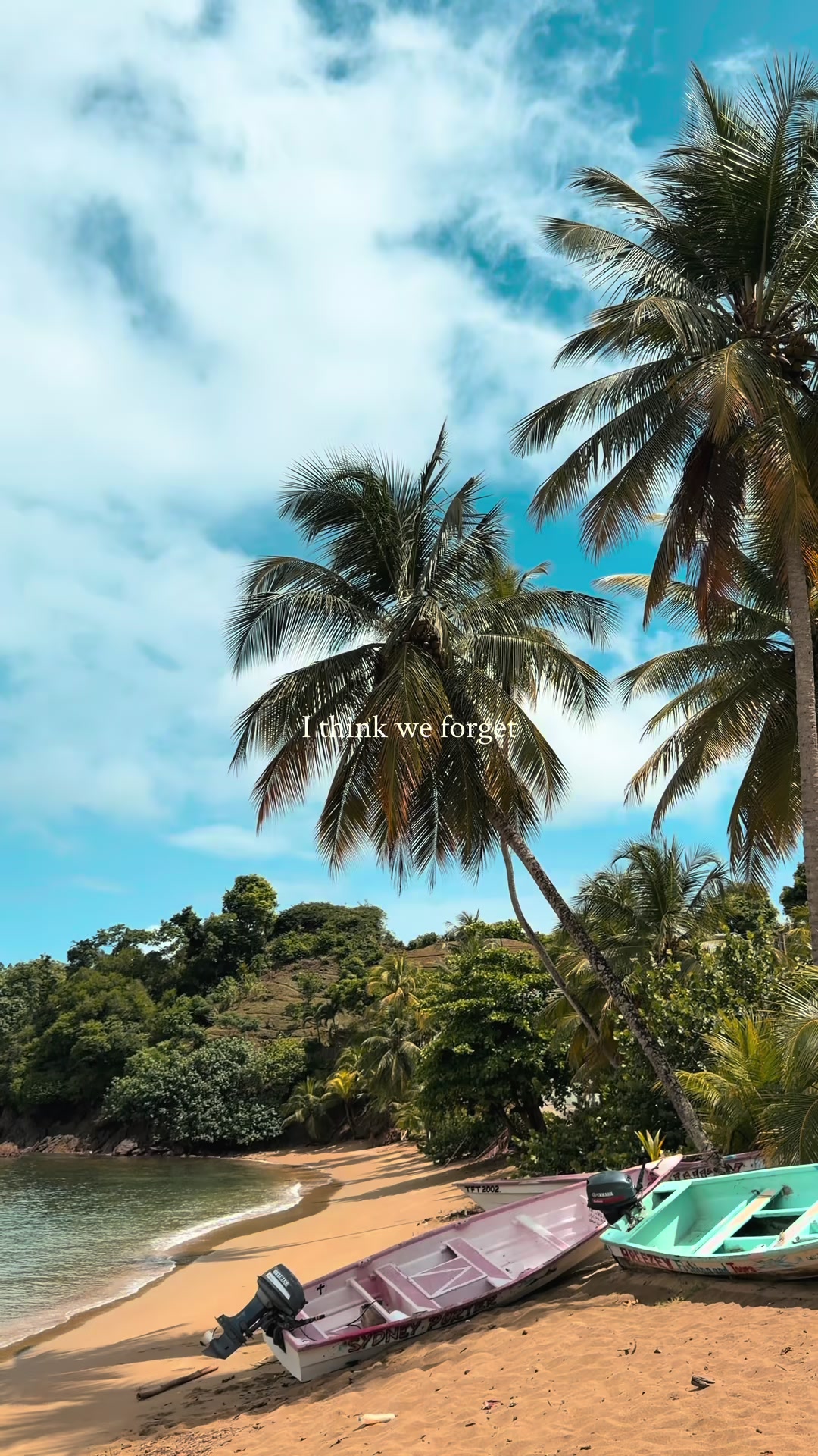 @Trini Surfer™️🇹🇹