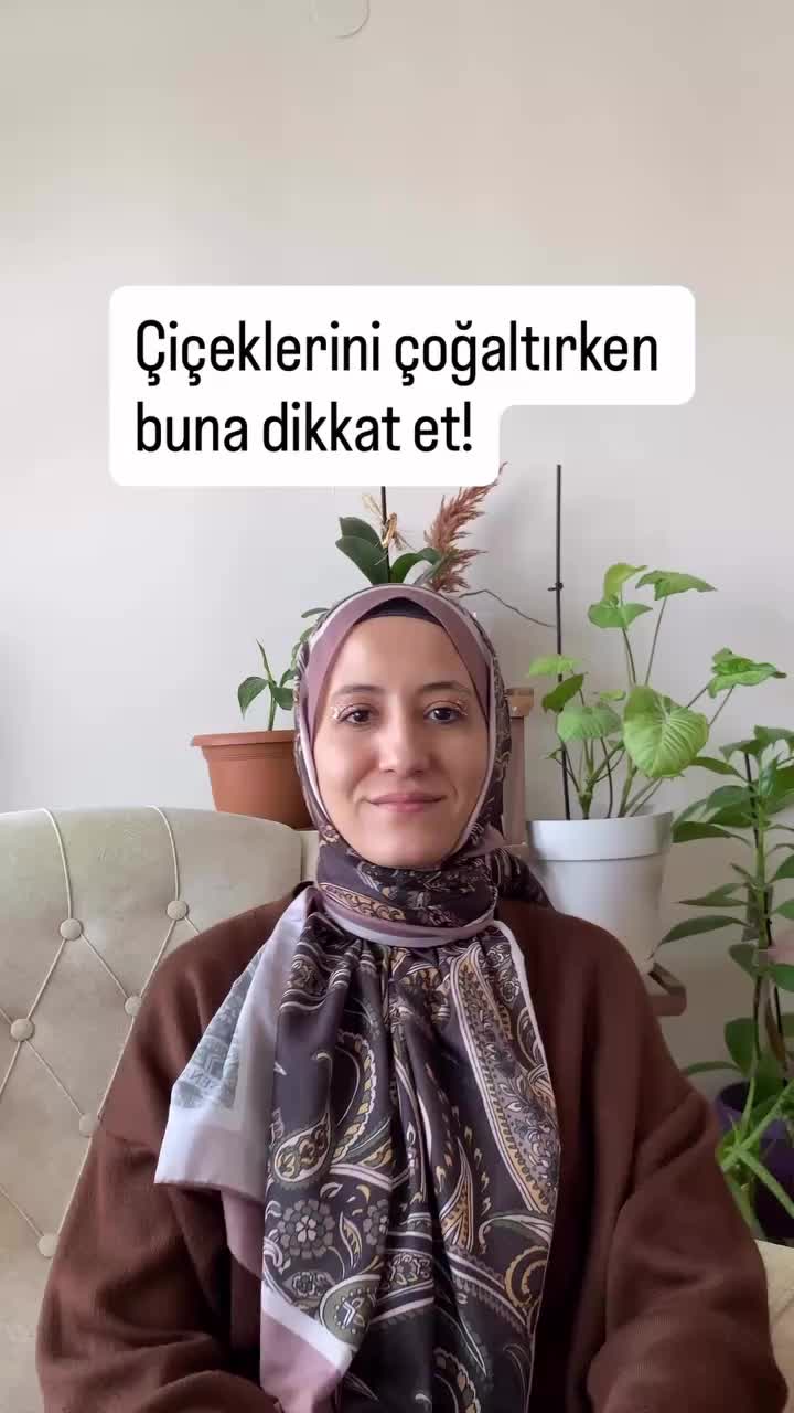 @toprak_nevalesi
