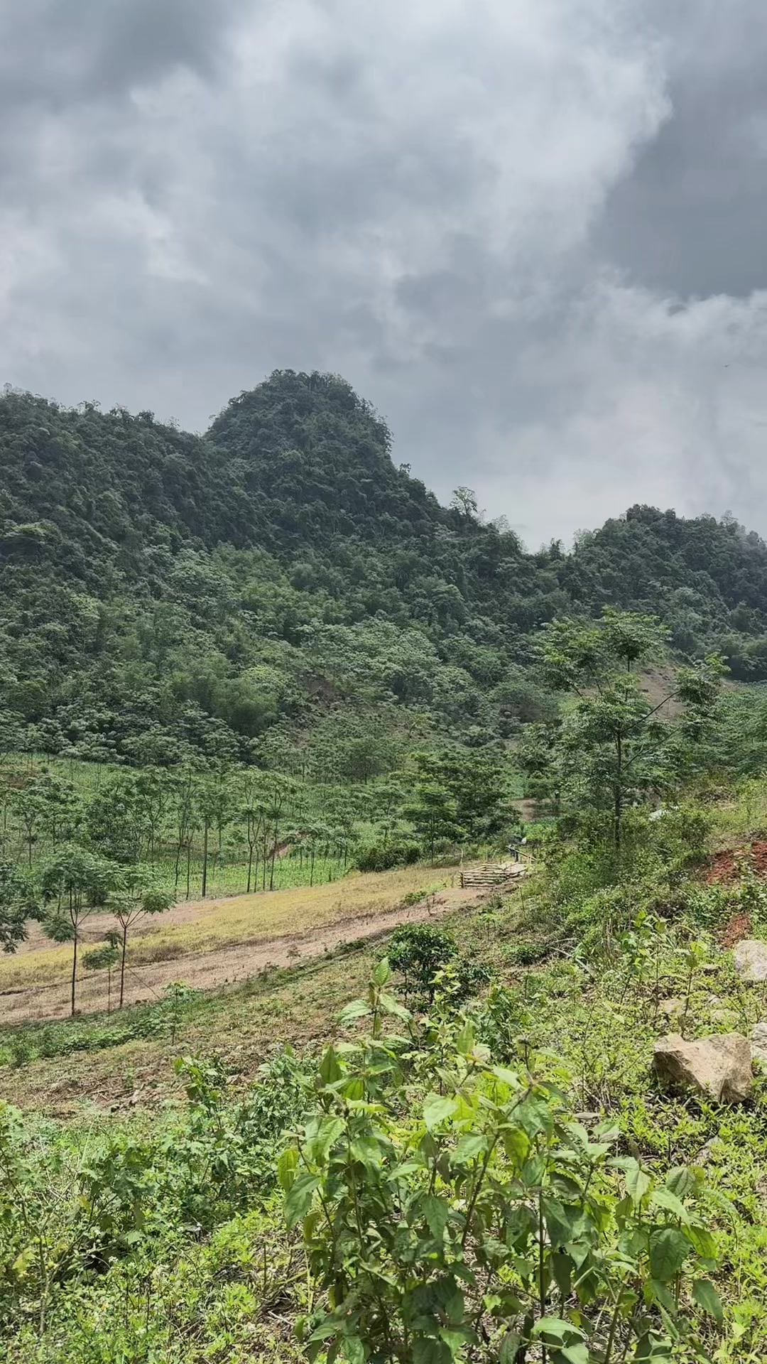 @Khắc Kỳ