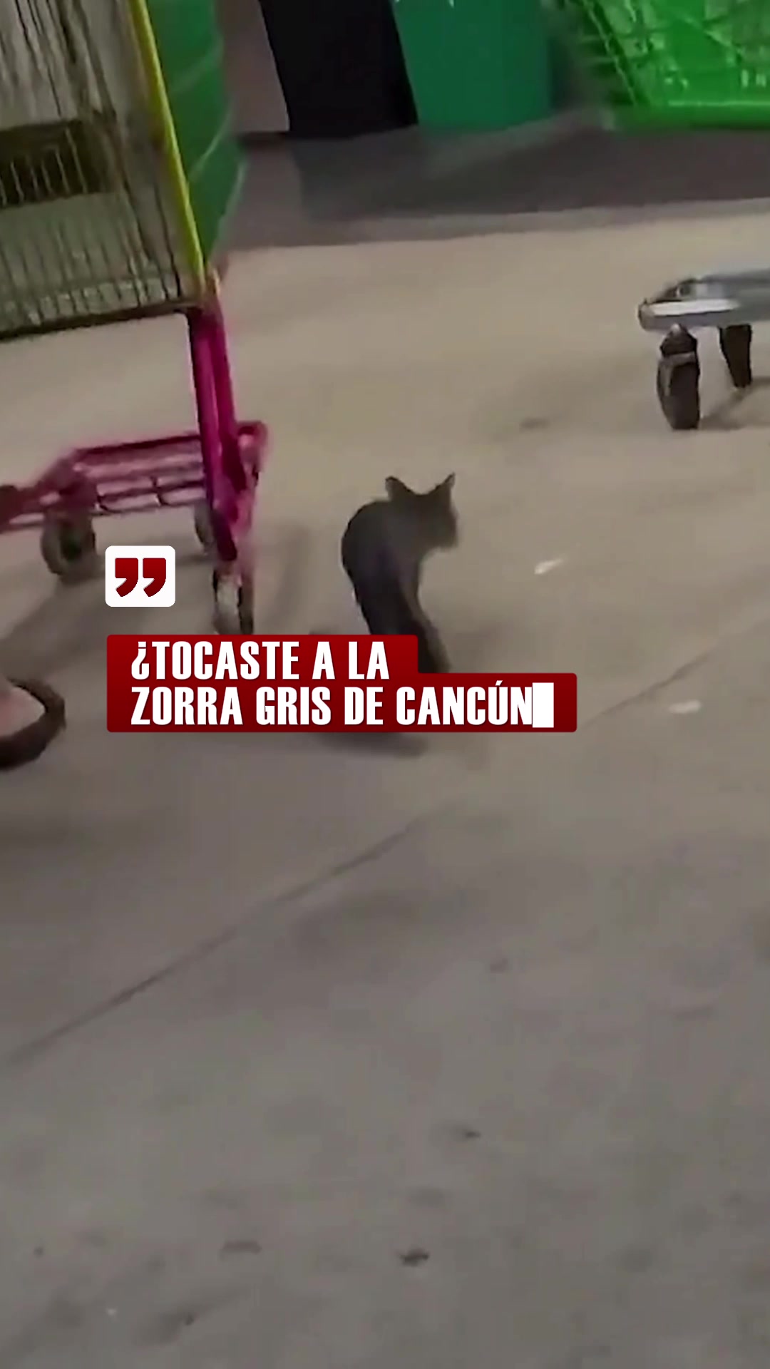 @lvn_noticias