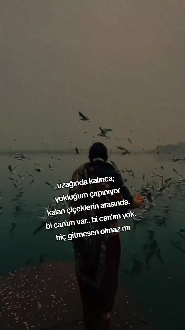 @kyplrdym