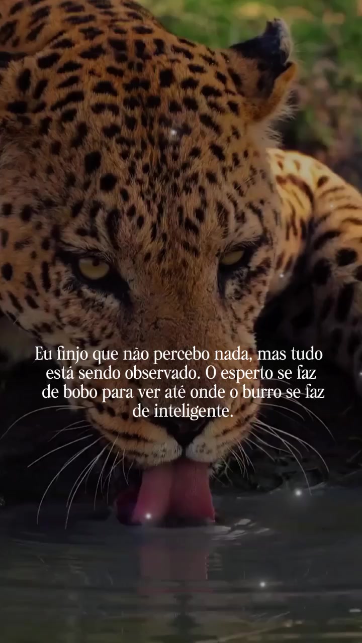 @𝙁𝙚𝙡𝙞𝙣𝙖.𝙈𝙚𝙣𝙩𝙚96🐆❤️