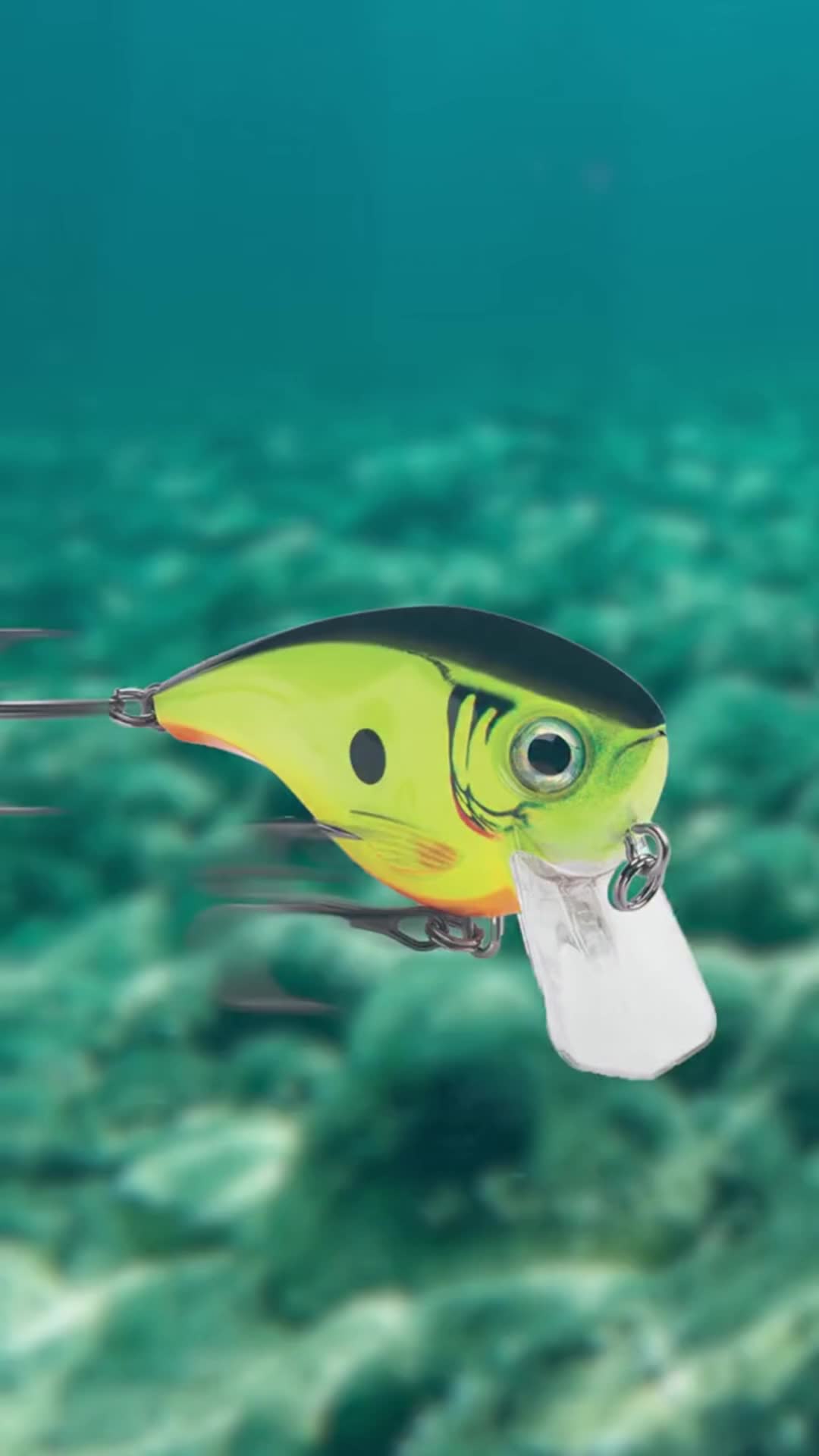 @Lunkerville