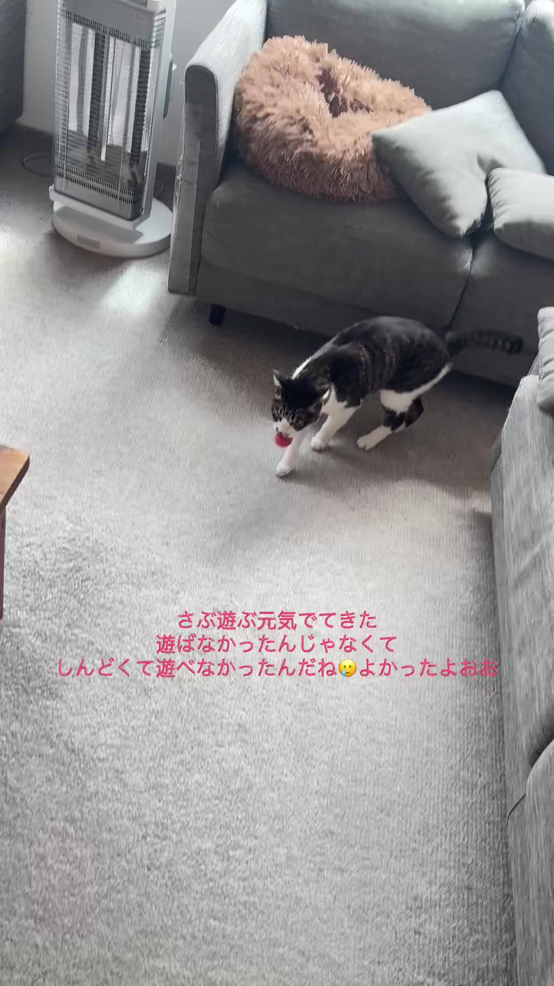@さまむ〜