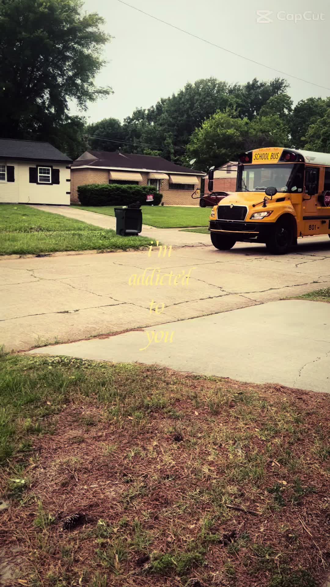 @Bluebirdbus302_Mr.Miller
