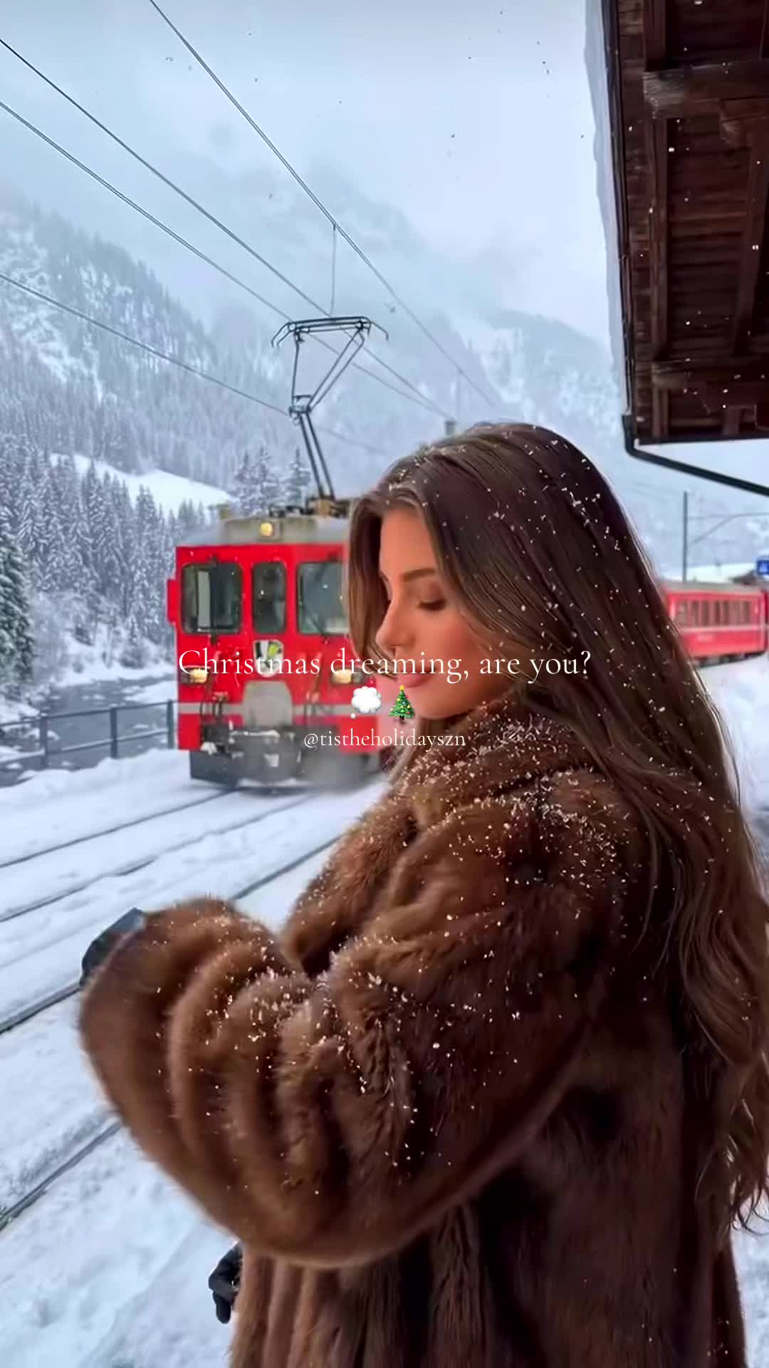 @Christmas Vibes❤️🎄