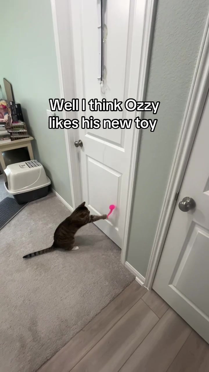 @eliza
