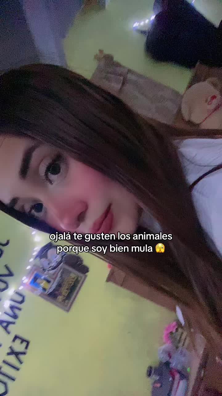 @🕊️.
