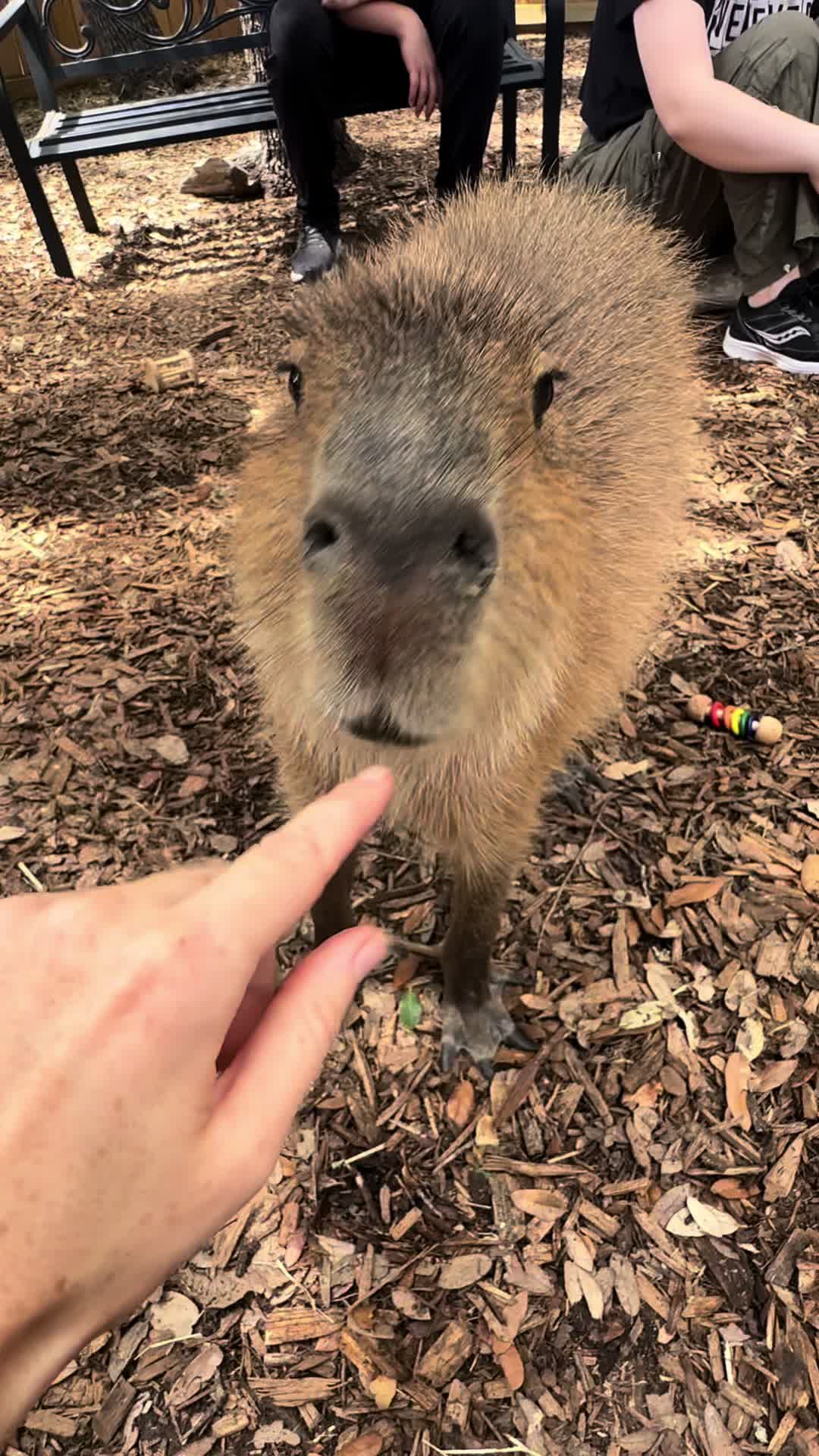 @Texas Wildlife Park