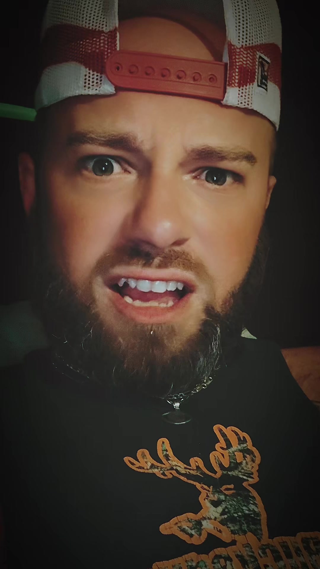 @RedneckGemini