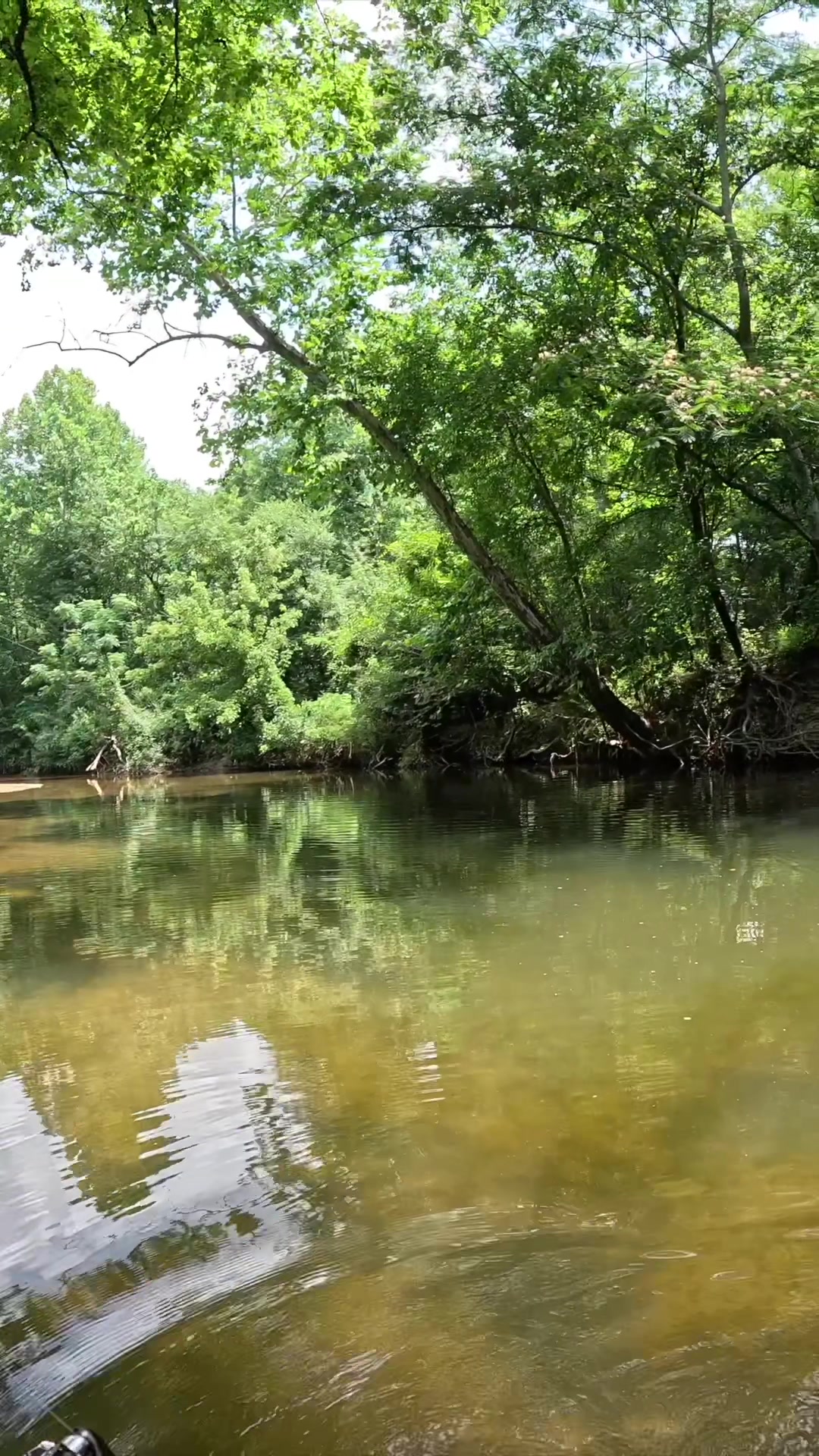 @Creek Seeker Outdoors
