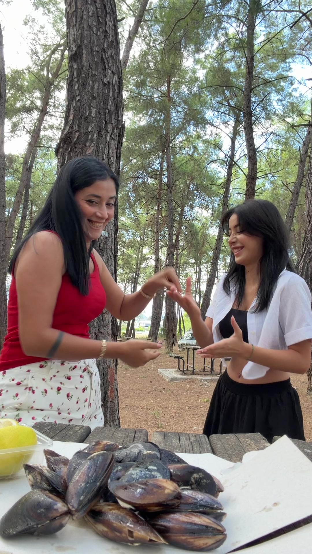@Haticeakın