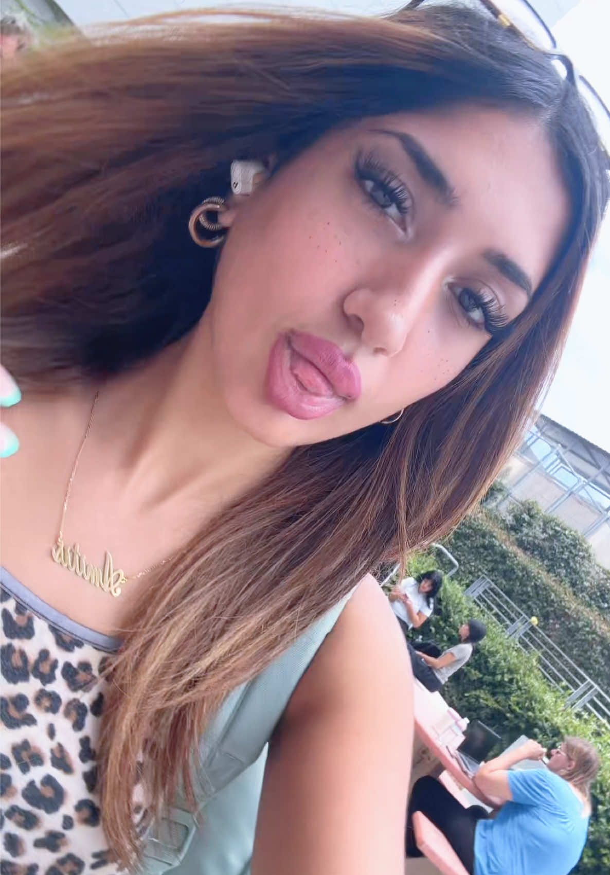 @persianmeowmeow2