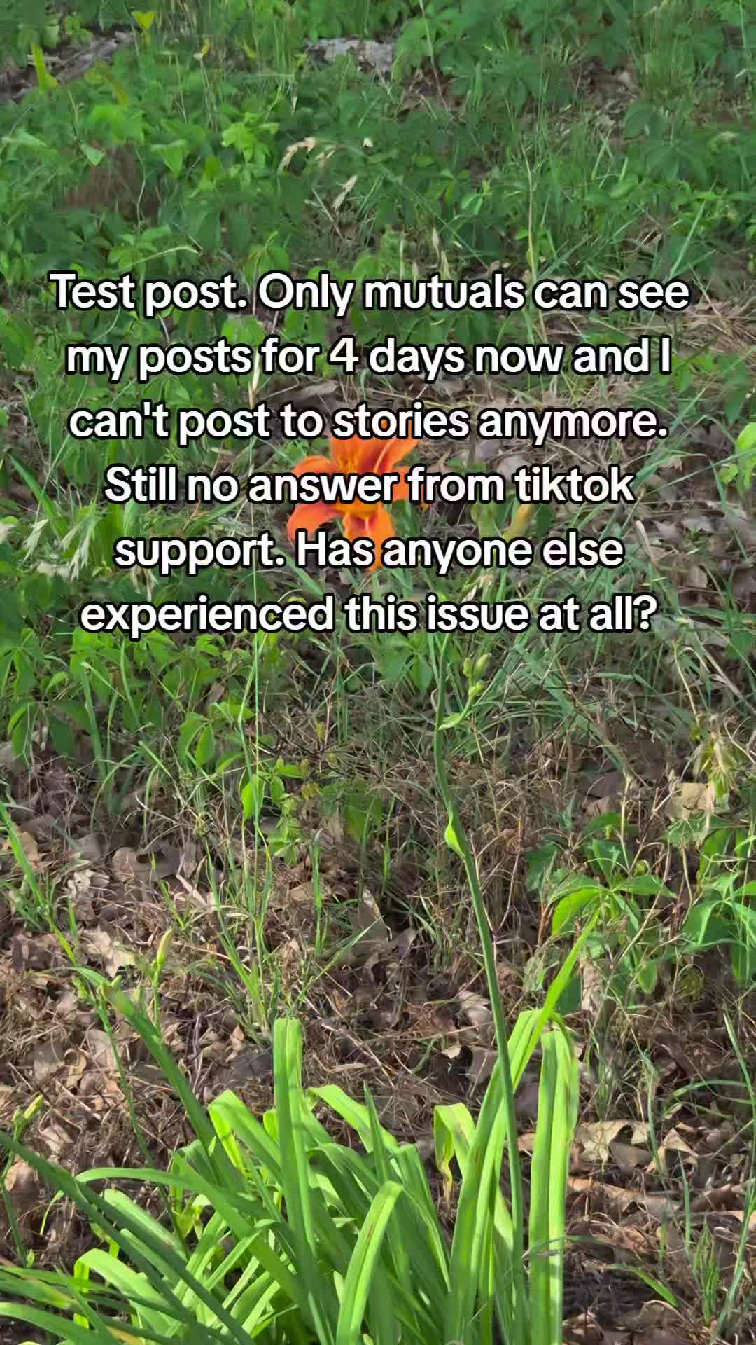 @Evergrim
