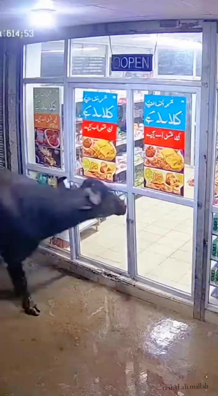 @Rashid Ali