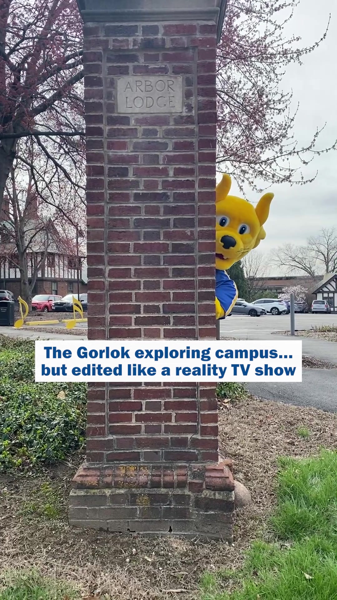 @Webster University