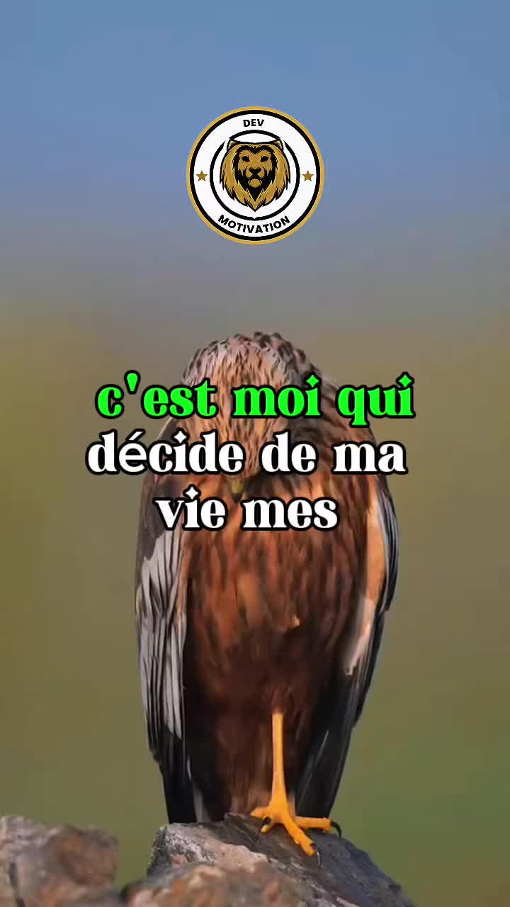 @Devmotivation
