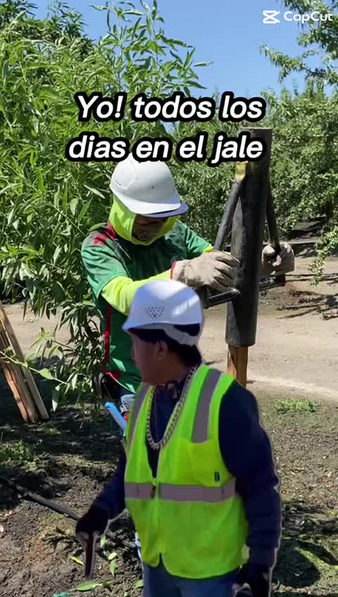 @César+52🇲🇽