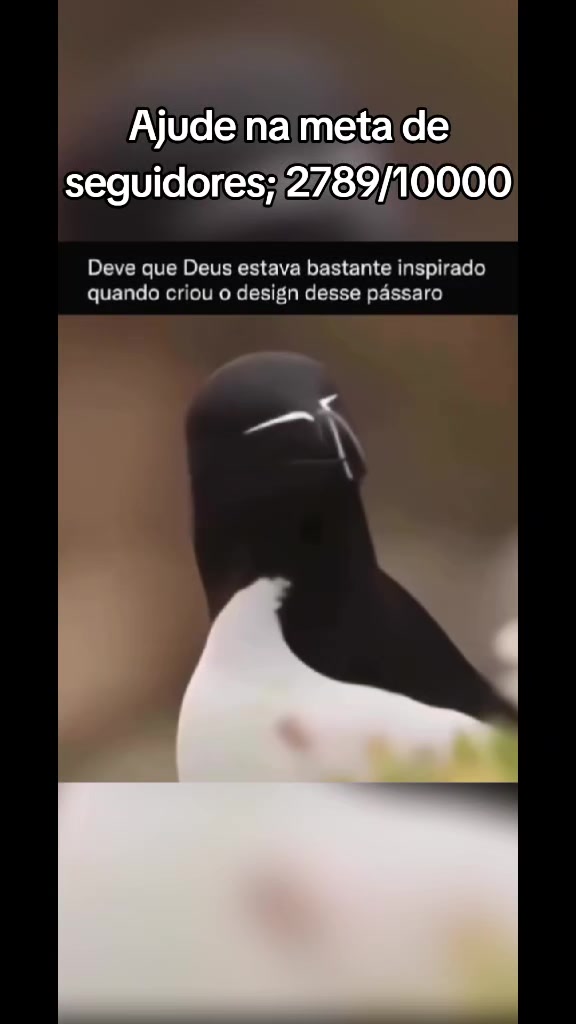@RENDA DARK