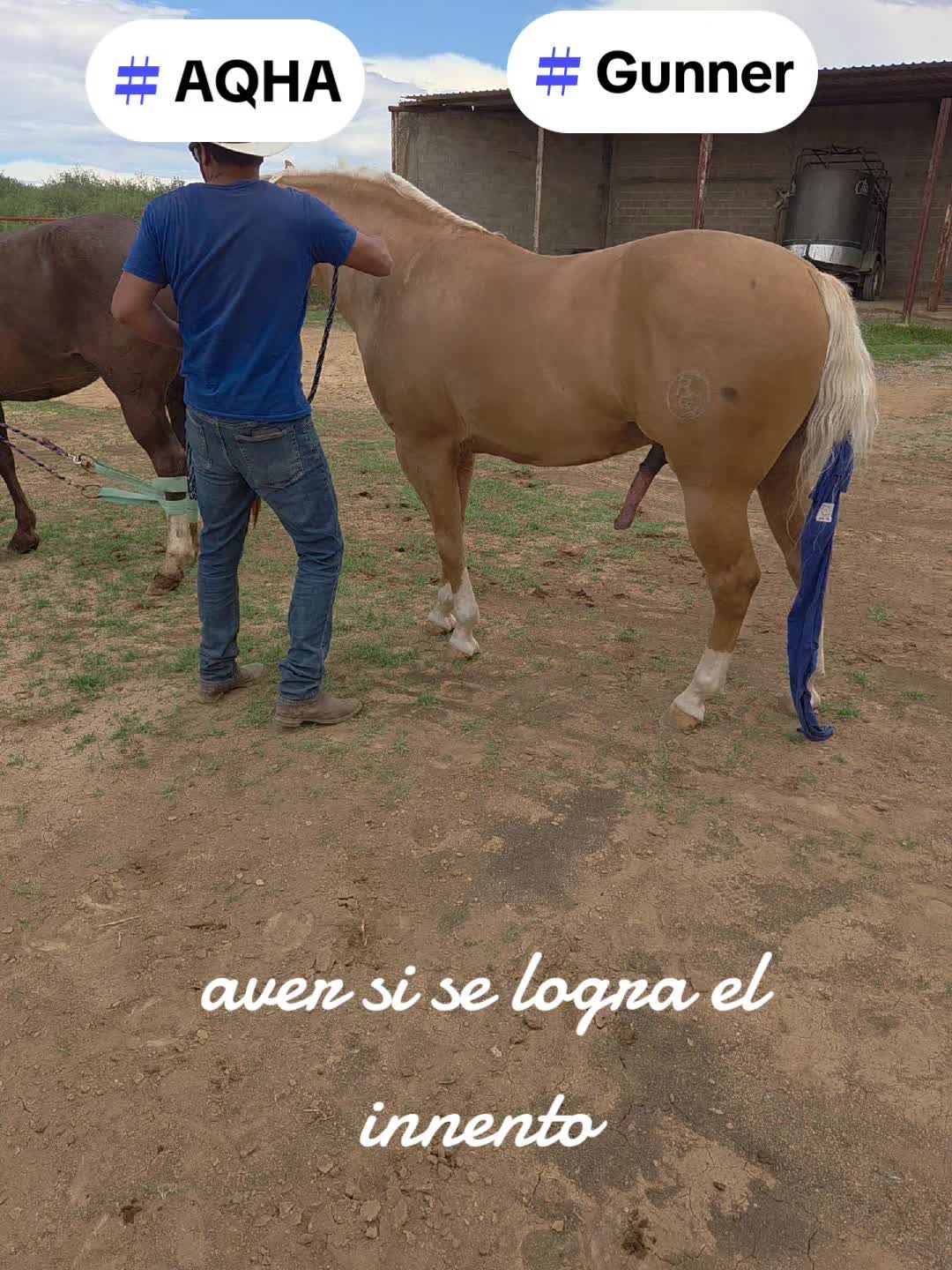 @BarbaCerrada0519