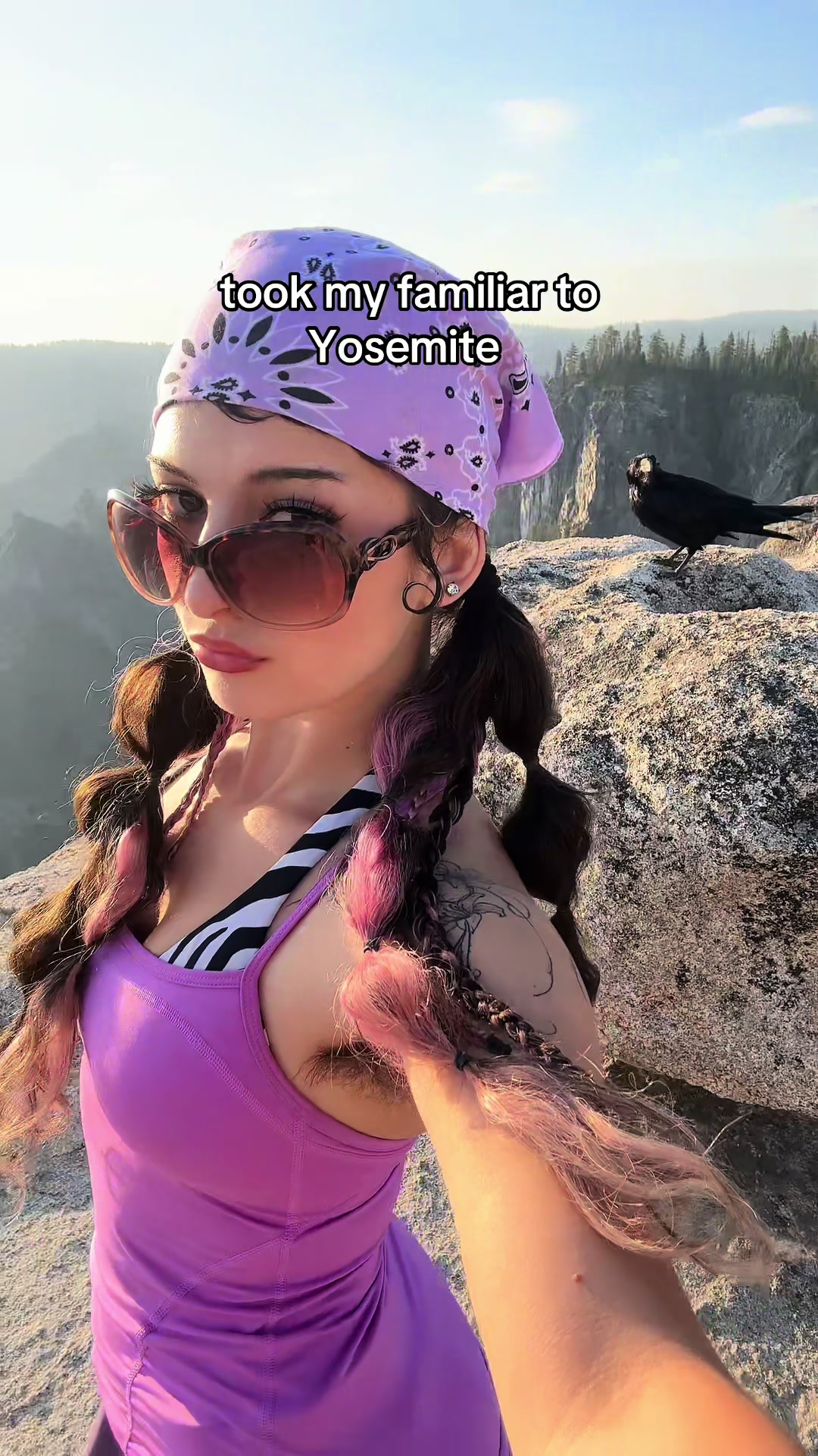 @🌲
