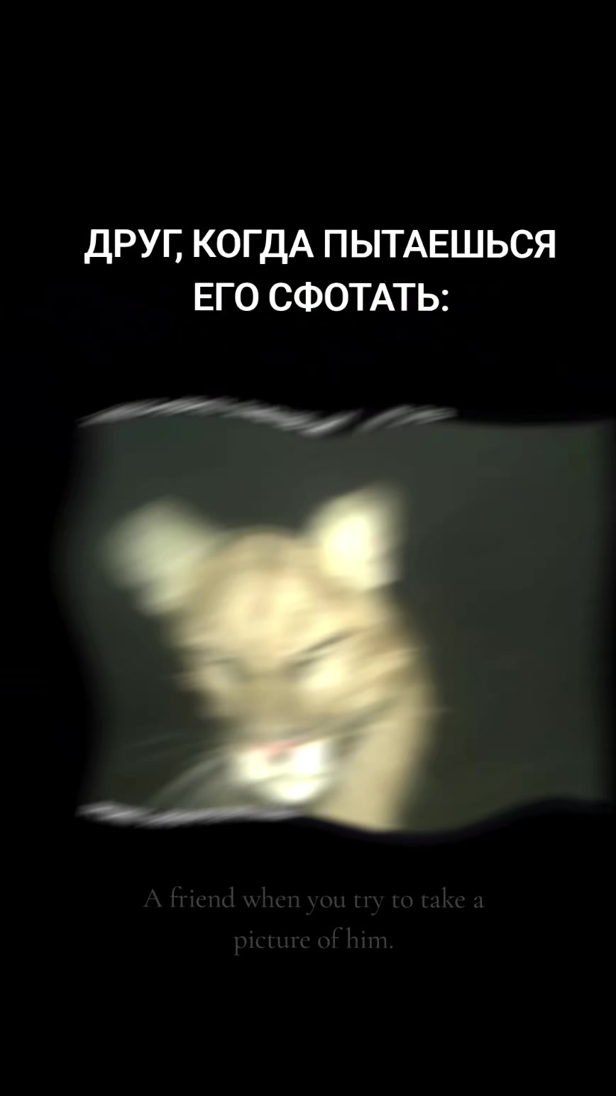 @Vodka