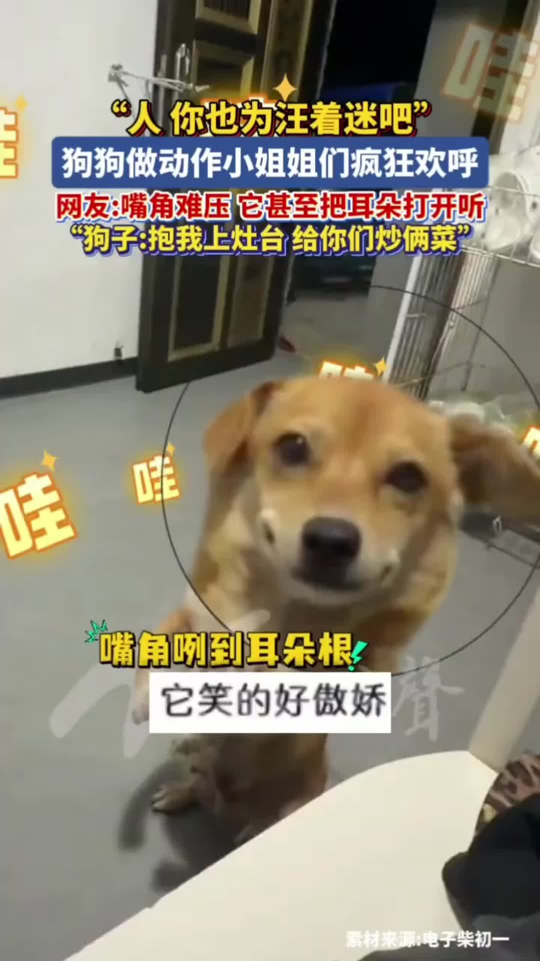 @中国蓝国际
