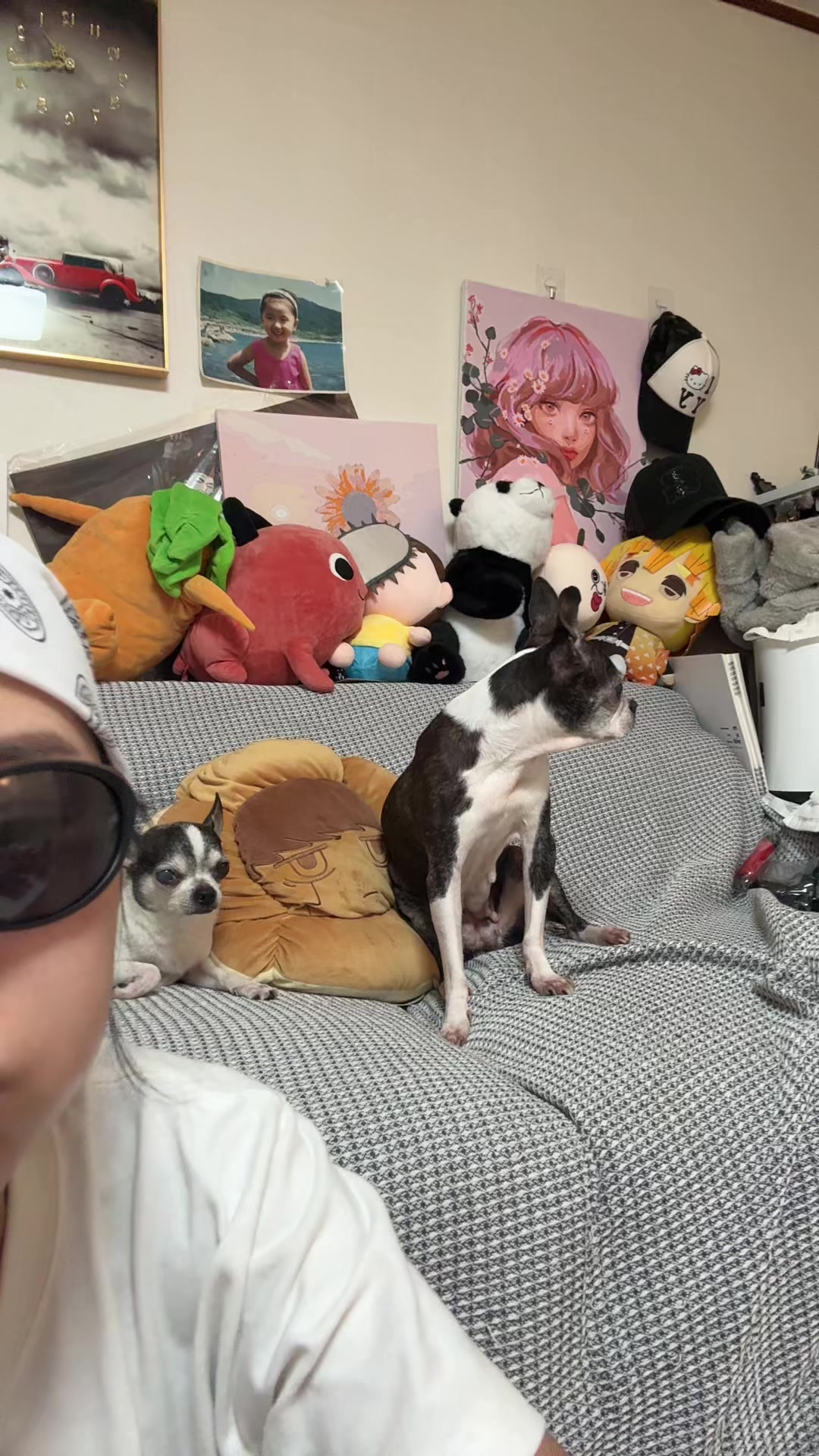 @희팡